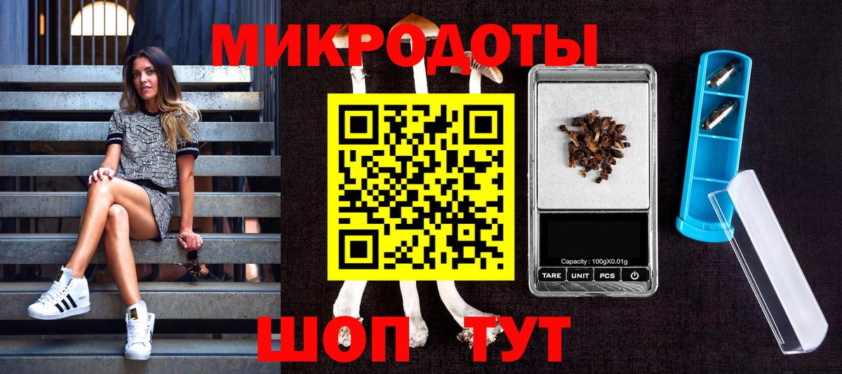 Псилоцибиновые грибы ЛСД Гудермес