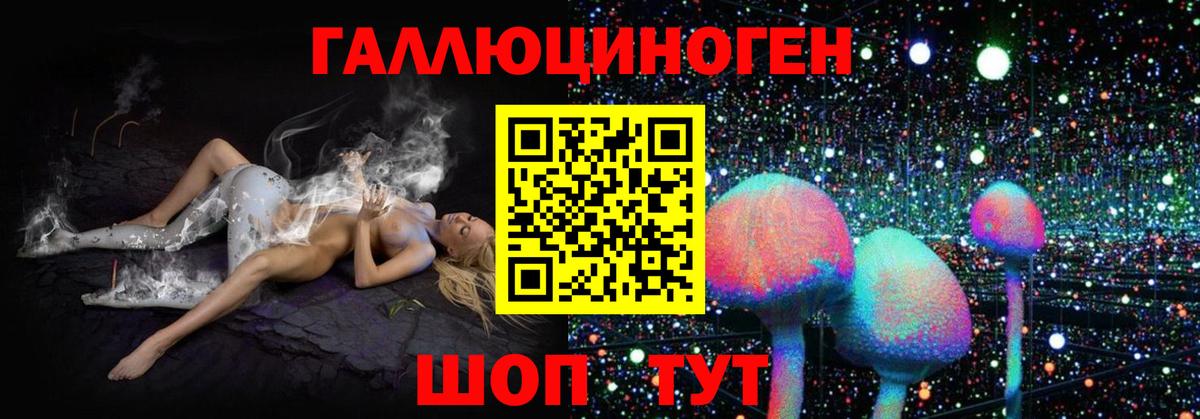 Гудермес  Галлюциногенные грибы Cubensis  Галлюциногенные грибы Magic Shrooms  Вход с VPN 